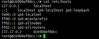 Docker容器hosts文件